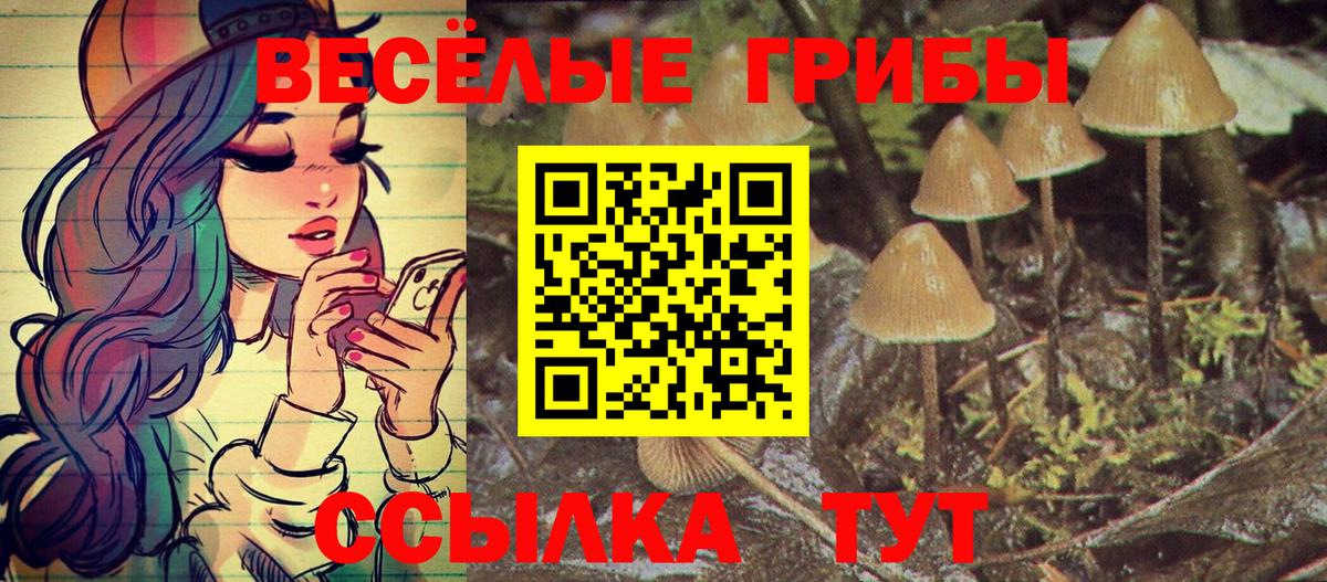 Псилоцибиновые грибы Magic Shrooms  Вход с VPN  Избербаш 